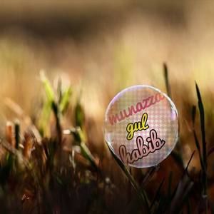 Meet your Posher, Munazza gul